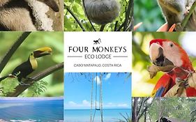 Four Monkeys Eco Lodge - Jungle & Beach
