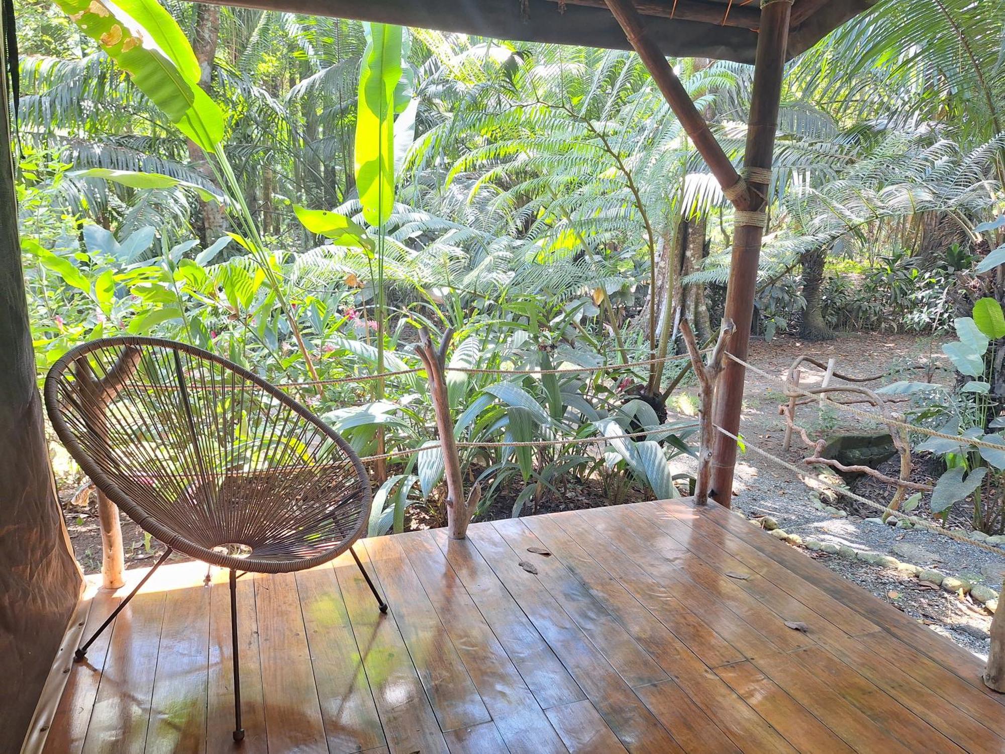 Four Monkeys Eco Lodge - Jungle & Beach Cabo Matapalo Exterior photo