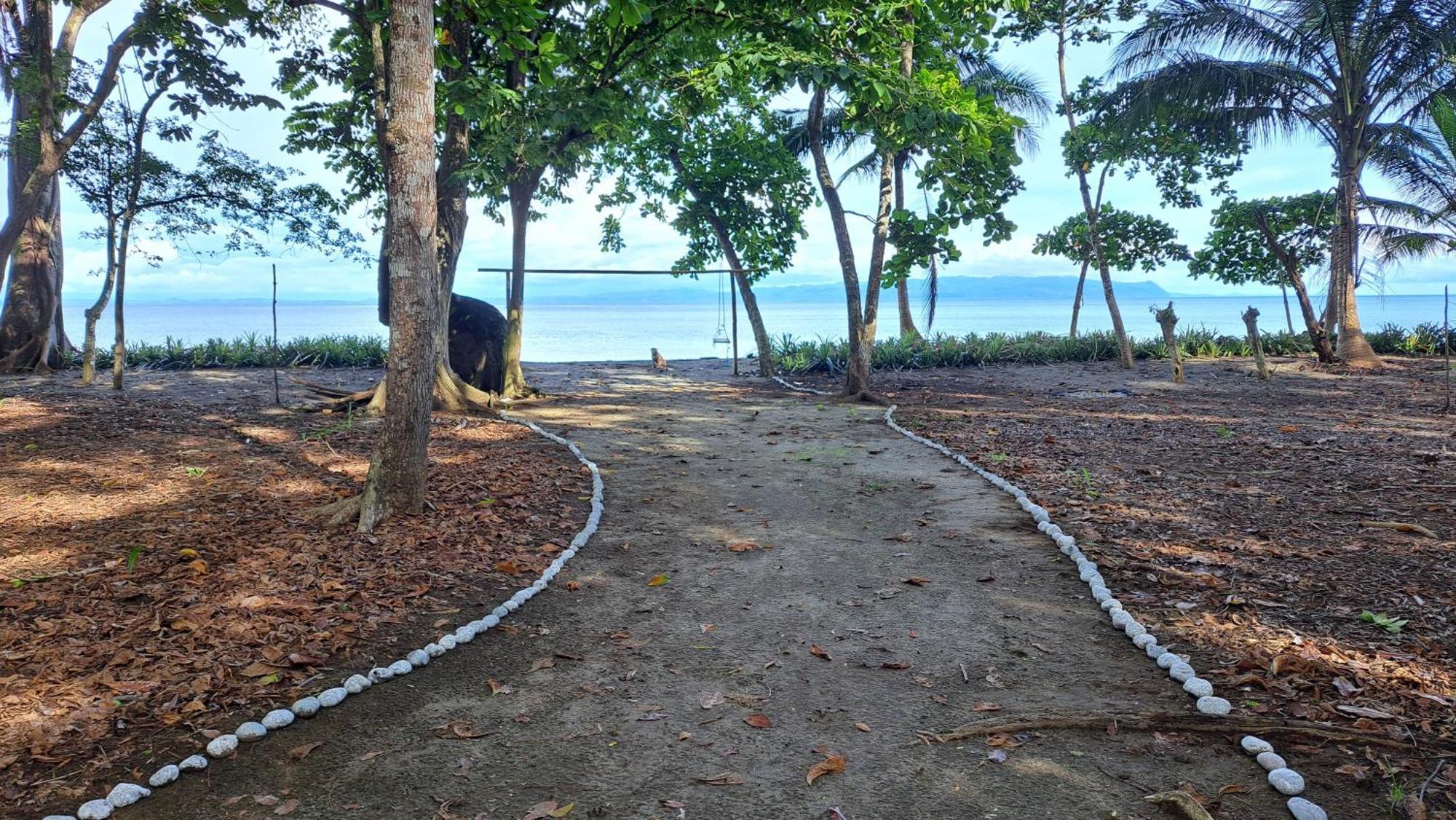 Four Monkeys Eco Lodge - Jungle & Beach Cabo Matapalo Exterior photo
