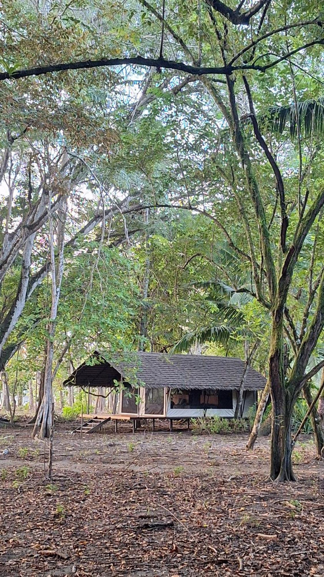 Four Monkeys Eco Lodge - Jungle & Beach Cabo Matapalo Exterior photo