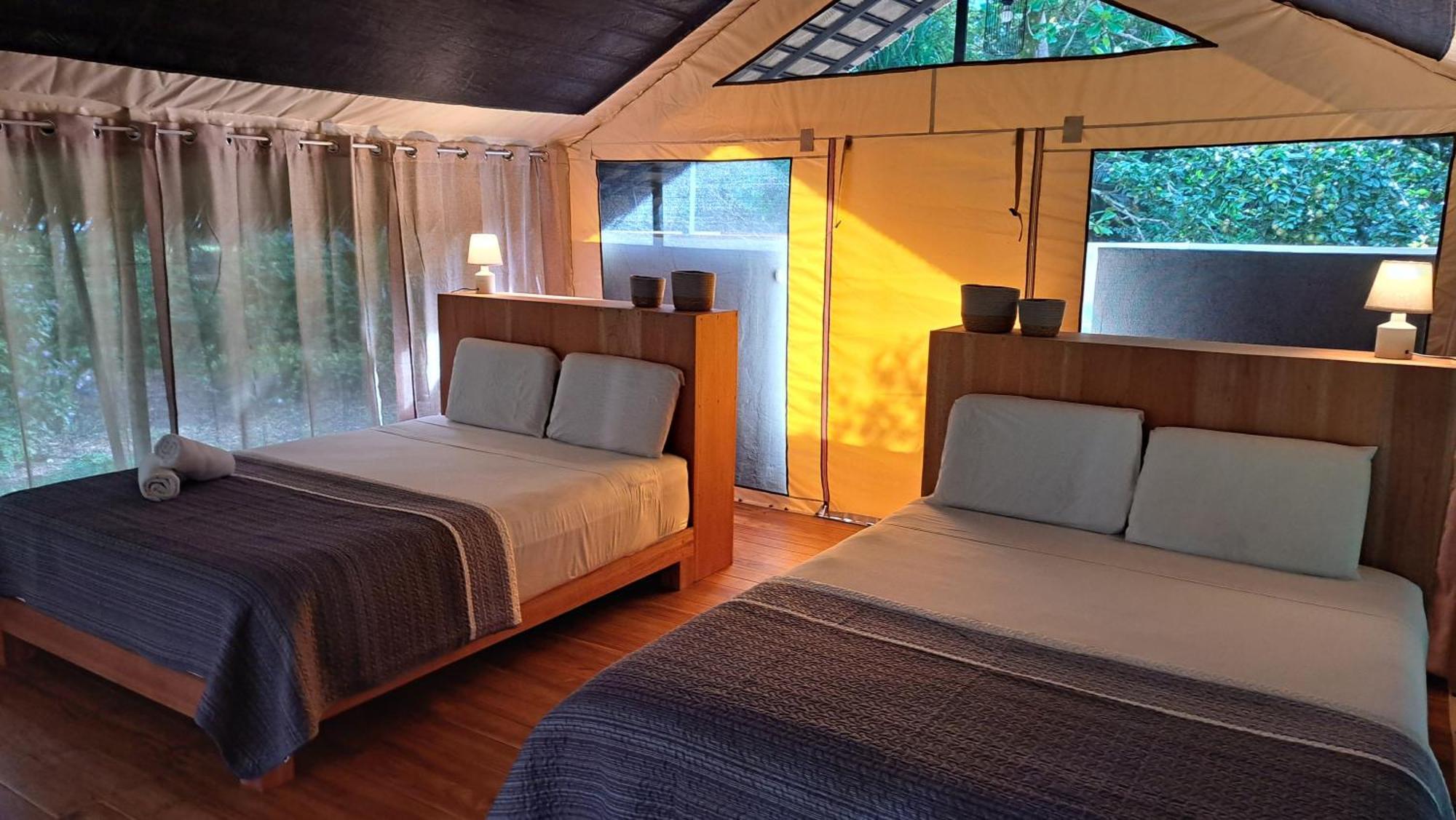 Four Monkeys Eco Lodge - Jungle & Beach Cabo Matapalo Exterior photo