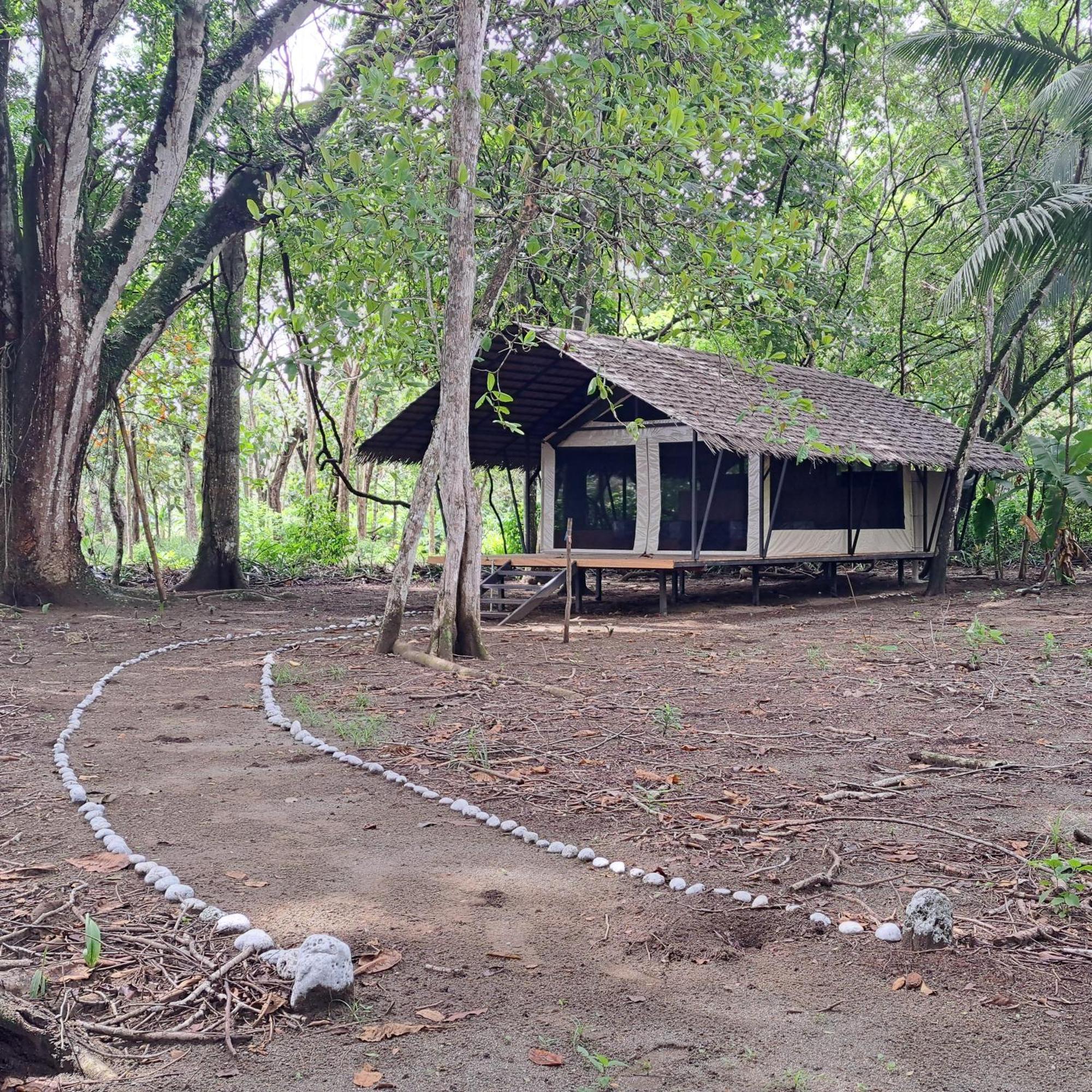 Four Monkeys Eco Lodge - Jungle & Beach Cabo Matapalo Exterior photo