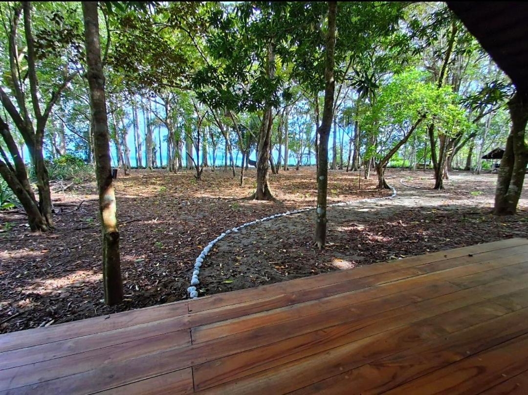 Four Monkeys Eco Lodge - Jungle & Beach Cabo Matapalo Exterior photo