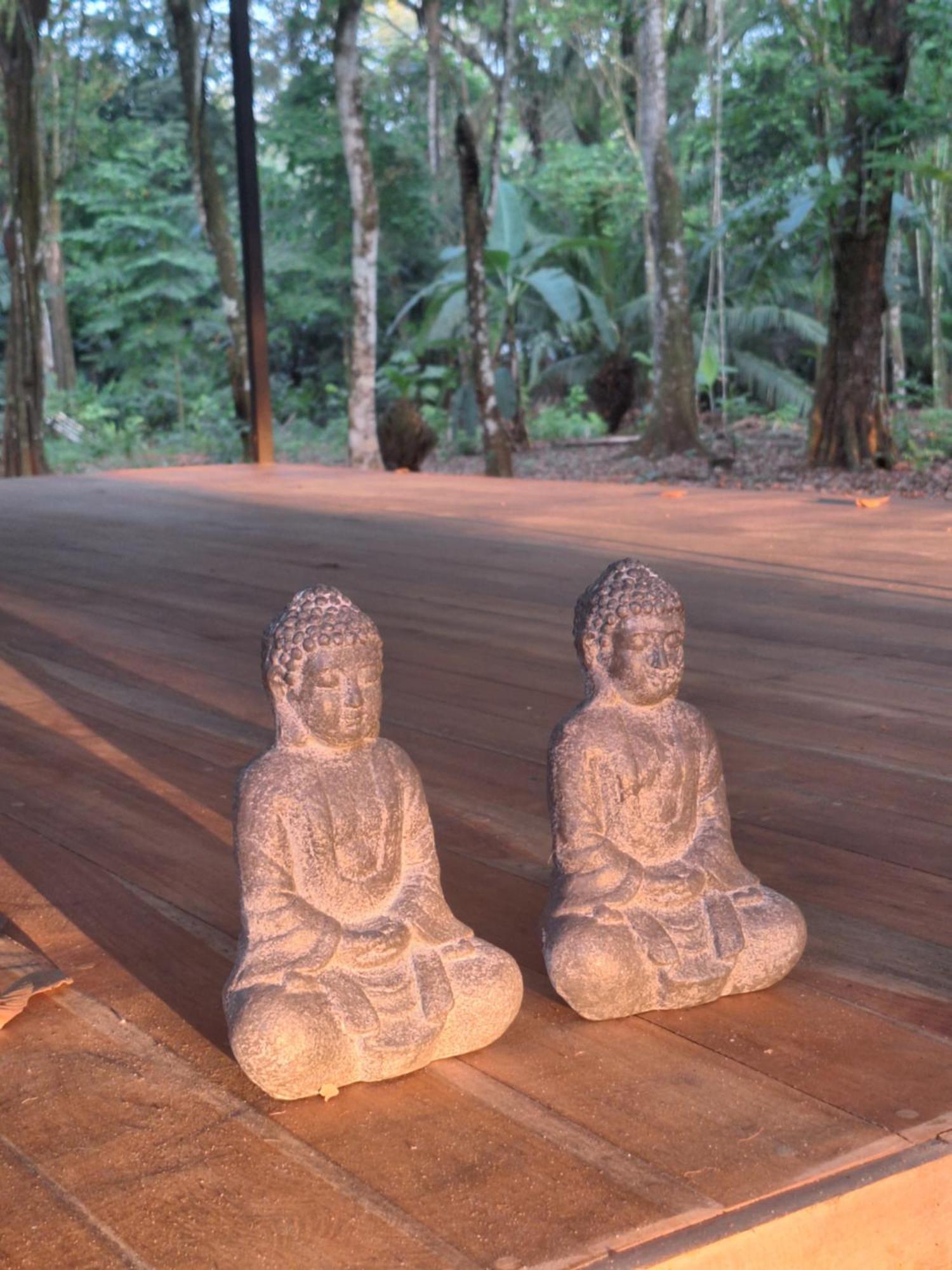 Four Monkeys Eco Lodge - Jungle & Beach Cabo Matapalo Exterior photo