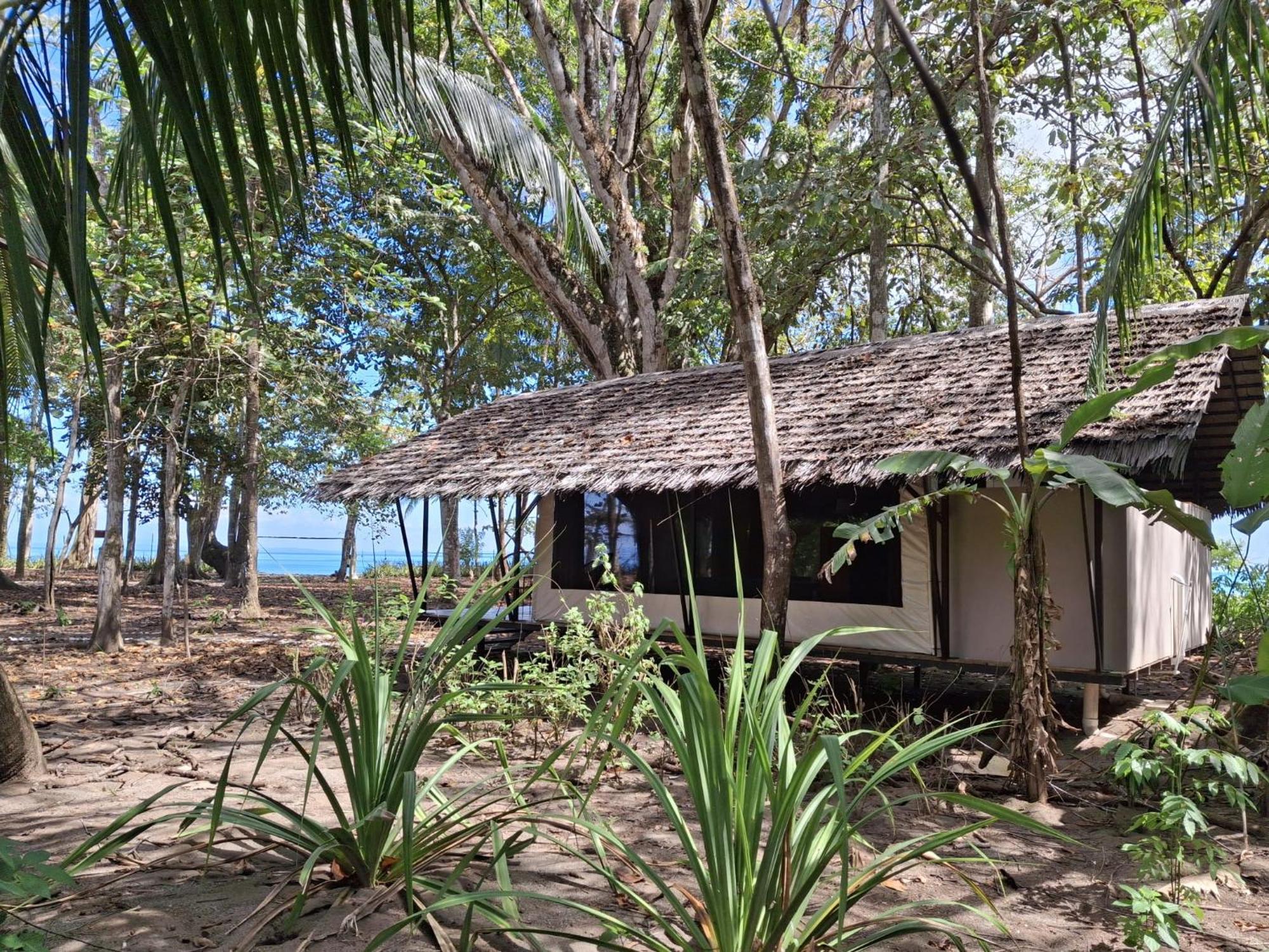 Four Monkeys Eco Lodge - Jungle & Beach Cabo Matapalo Exterior photo